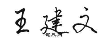 駱恆光王建文行書個性簽名怎么寫