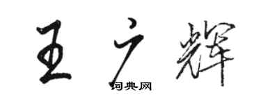 駱恆光王廣輝行書個性簽名怎么寫