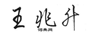 駱恆光王兆升行書個性簽名怎么寫