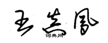 朱錫榮王真鳳草書個性簽名怎么寫