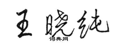 駱恆光王曉純行書個性簽名怎么寫