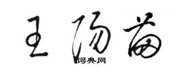 駱恆光王陽苗草書個性簽名怎么寫