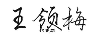 駱恆光王領梅行書個性簽名怎么寫
