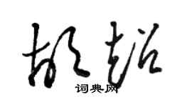 駱恆光胡超草書個性簽名怎么寫
