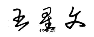 朱錫榮王星文草書個性簽名怎么寫