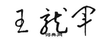 駱恆光王龍軍草書個性簽名怎么寫