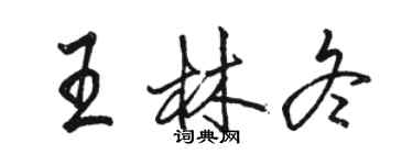 駱恆光王林冬行書個性簽名怎么寫