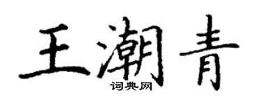 丁謙王潮青楷書個性簽名怎么寫