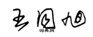 朱錫榮王同旭草書個性簽名怎么寫