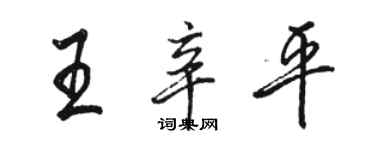 駱恆光王辛平行書個性簽名怎么寫