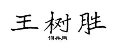 袁強王樹勝楷書個性簽名怎么寫