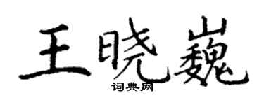 丁謙王曉巍楷書個性簽名怎么寫