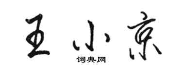 駱恆光王小京行書個性簽名怎么寫