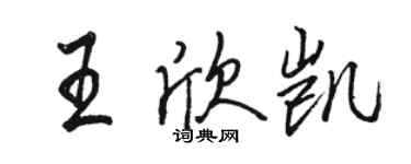 駱恆光王欣凱行書個性簽名怎么寫