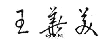 駱恆光王華美草書個性簽名怎么寫