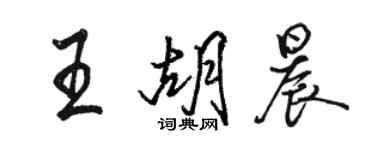 駱恆光王胡晨行書個性簽名怎么寫