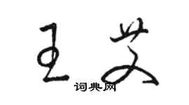 駱恆光王艾草書個性簽名怎么寫