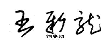 朱錫榮王新龍草書個性簽名怎么寫