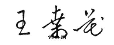 駱恆光王桑花草書個性簽名怎么寫