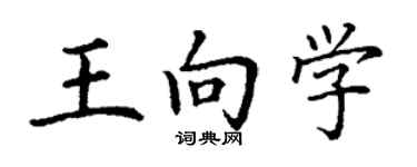 丁謙王向學楷書個性簽名怎么寫