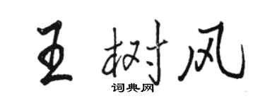 駱恆光王樹風行書個性簽名怎么寫