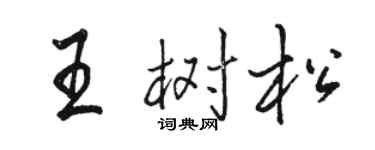 駱恆光王樹松行書個性簽名怎么寫
