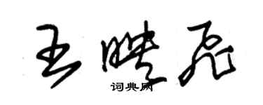 朱錫榮王映飛草書個性簽名怎么寫