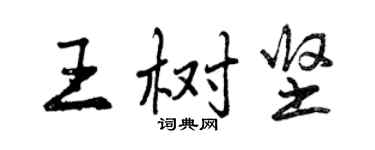 曾慶福王樹堅行書個性簽名怎么寫
