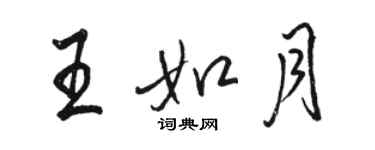 駱恆光王如月行書個性簽名怎么寫