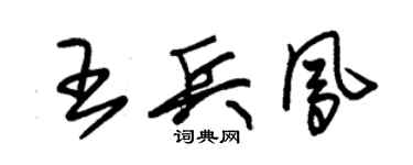 朱錫榮王兵鳳草書個性簽名怎么寫