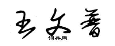 朱錫榮王文普草書個性簽名怎么寫
