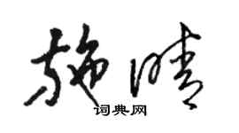 駱恆光施晴草書個性簽名怎么寫