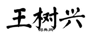 翁闓運王樹興楷書個性簽名怎么寫