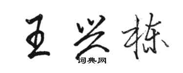 駱恆光王興棟行書個性簽名怎么寫