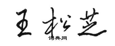 駱恆光王松芝行書個性簽名怎么寫