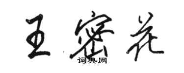 駱恆光王密花行書個性簽名怎么寫