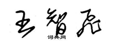 朱錫榮王智飛草書個性簽名怎么寫