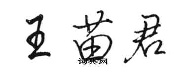 駱恆光王苗君行書個性簽名怎么寫