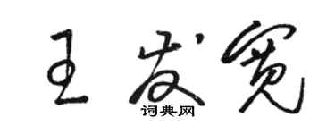 駱恆光王發寬草書個性簽名怎么寫