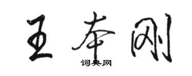 駱恆光王本剛行書個性簽名怎么寫