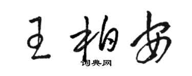 駱恆光王柏安草書個性簽名怎么寫