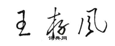 駱恆光王存風草書個性簽名怎么寫