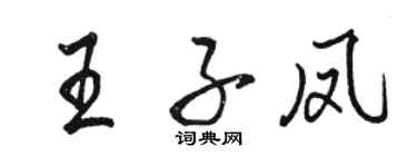 駱恆光王子鳳行書個性簽名怎么寫