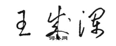 駱恆光王成瀾草書個性簽名怎么寫