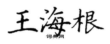 丁謙王海根楷書個性簽名怎么寫