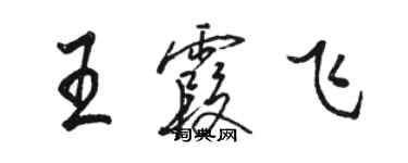 駱恆光王霞飛行書個性簽名怎么寫