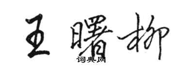 駱恆光王曙柳行書個性簽名怎么寫