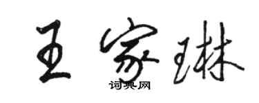 駱恆光王家琳行書個性簽名怎么寫