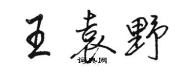 駱恆光王袁野行書個性簽名怎么寫