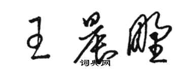 駱恆光王晨野草書個性簽名怎么寫